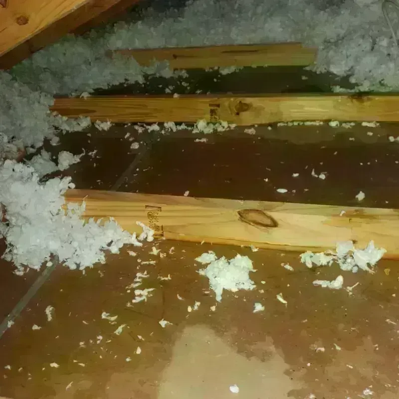 Attic Water Damage in Anderson, MO