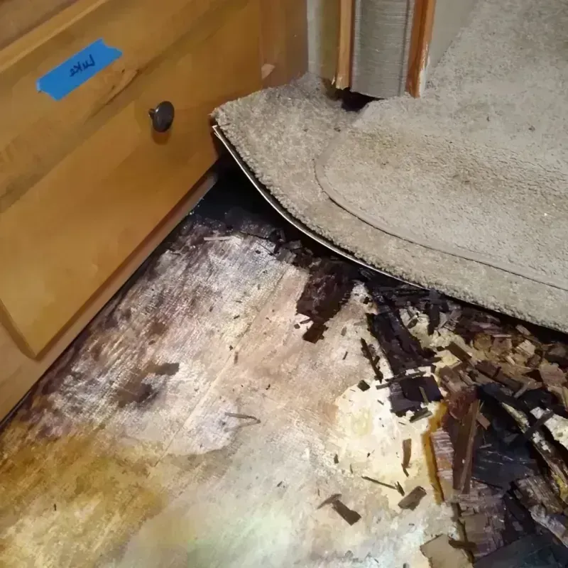 Wood Floor Water Damage in Anderson, MO